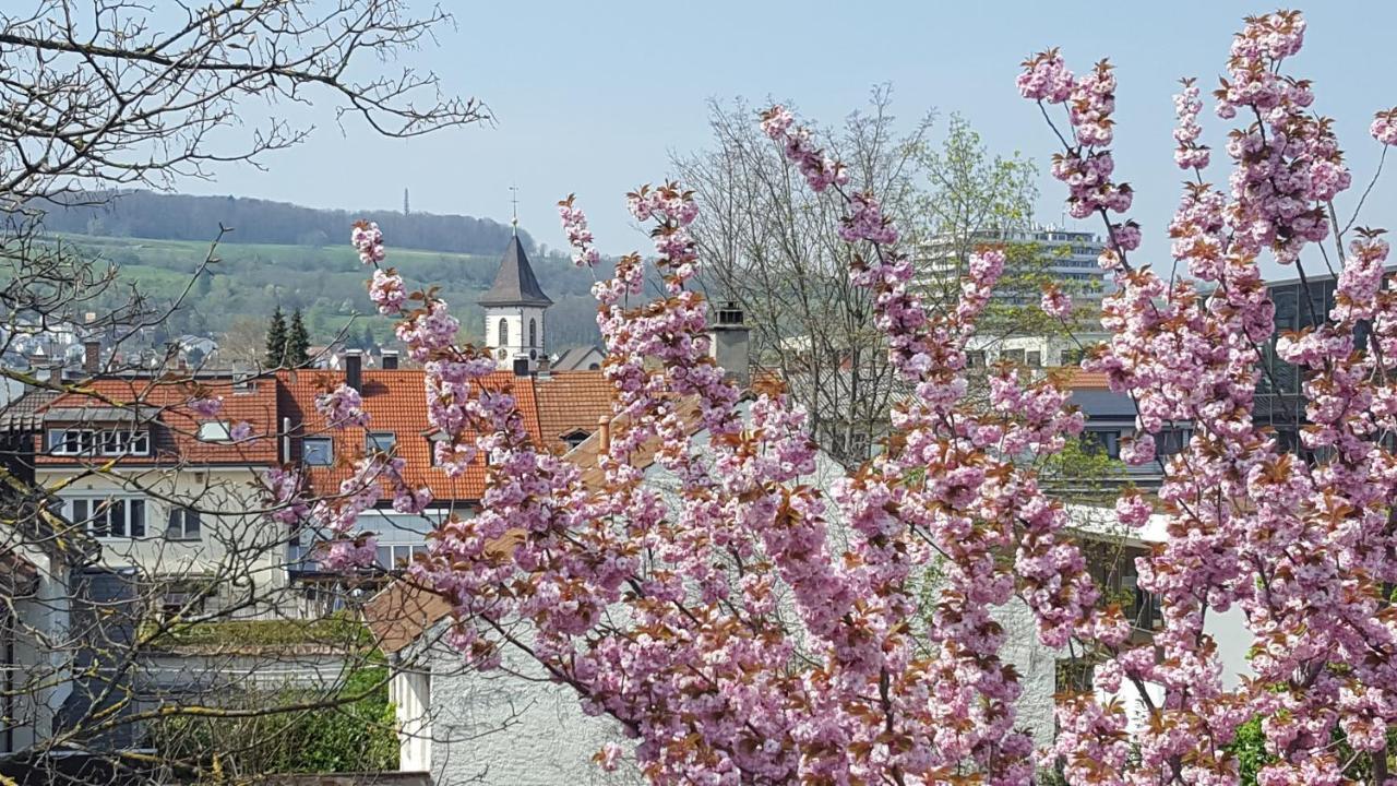 Villa Am Rosenfelspark Lorrach Luaran gambar