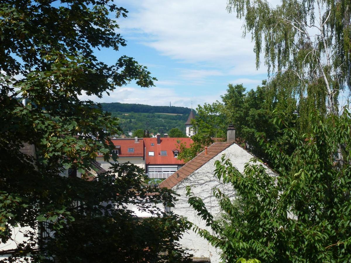 Villa Am Rosenfelspark Lorrach Luaran gambar