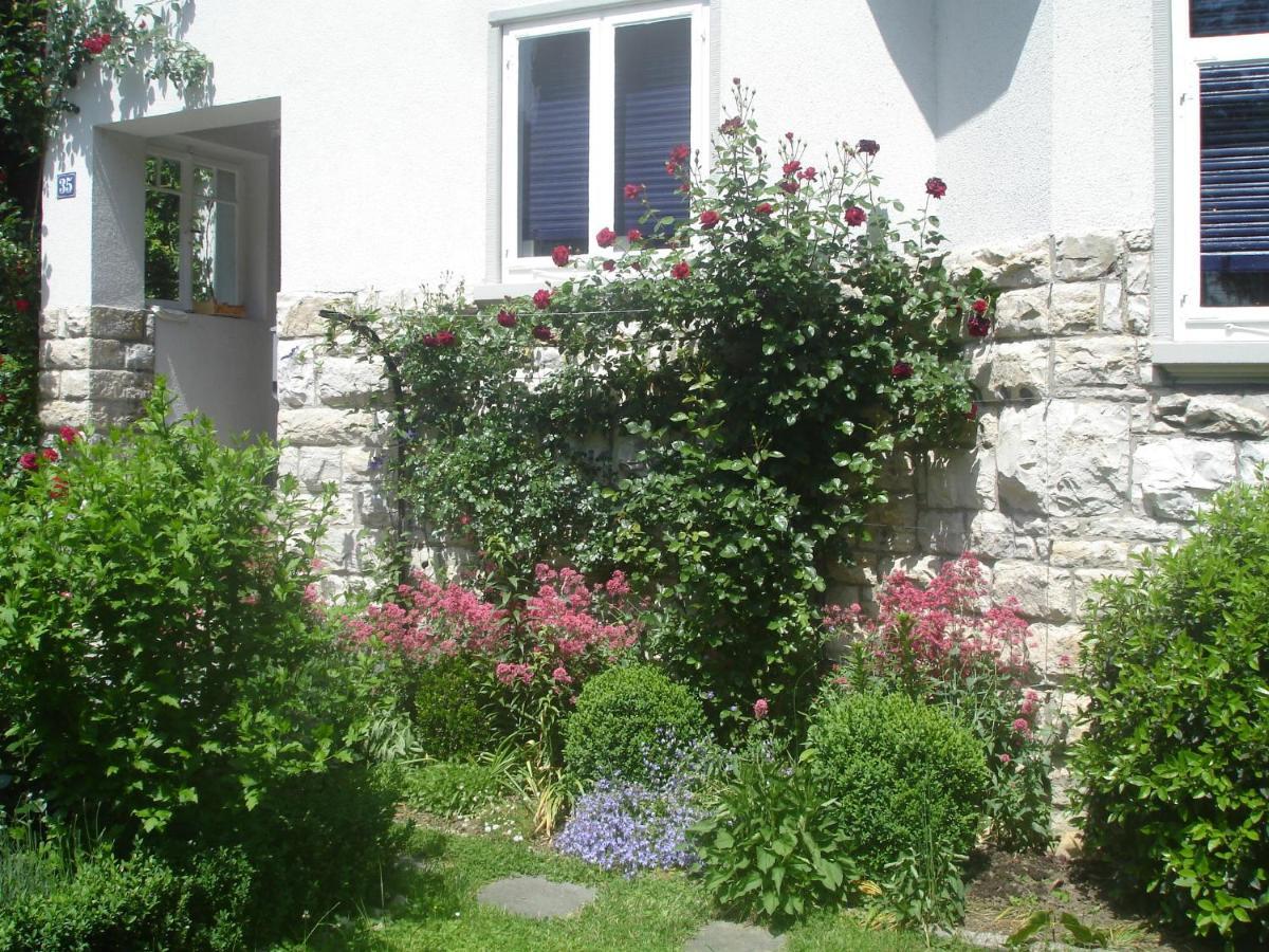 Villa Am Rosenfelspark Lorrach Luaran gambar